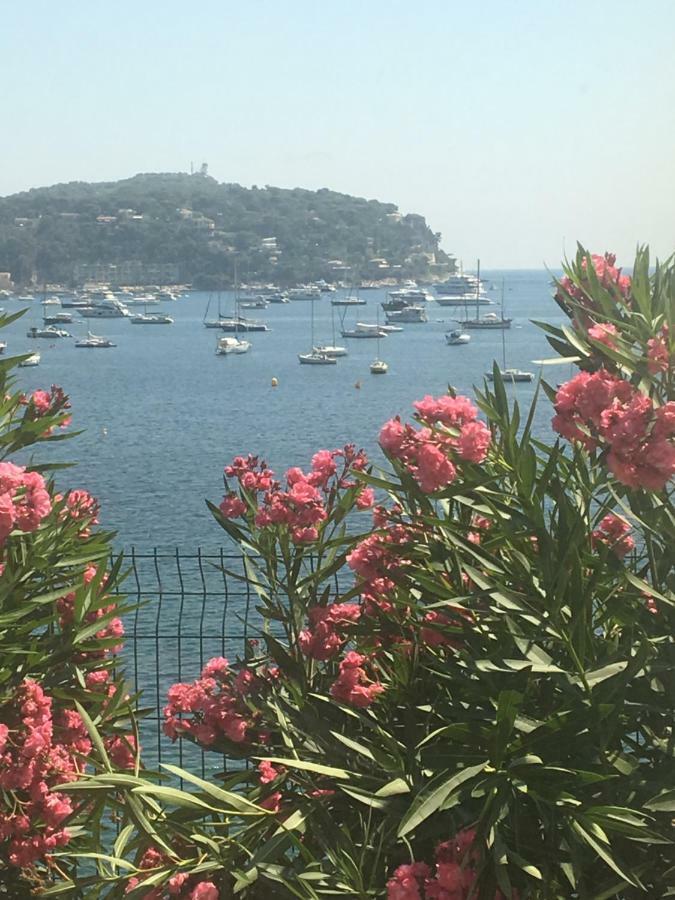 Lisa V Apart Cannes Bagian luar foto